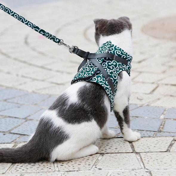 Cat Vest Harness and Leash Set to Outdoor Walking