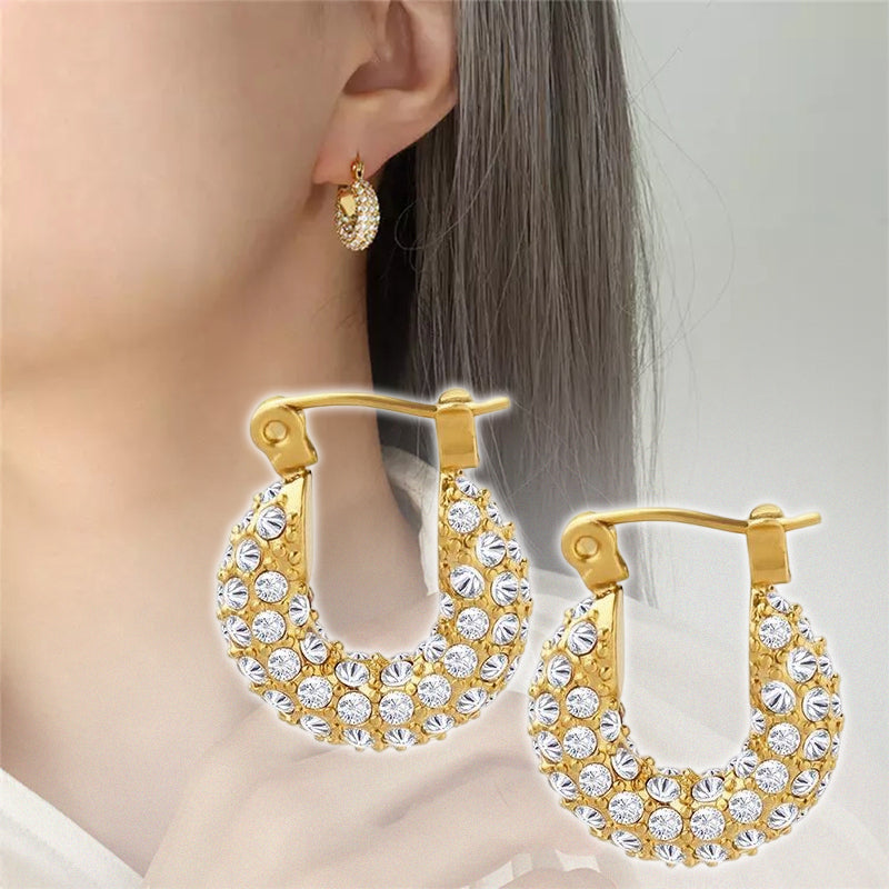 Little Fatty Diamond Hoop Earrings