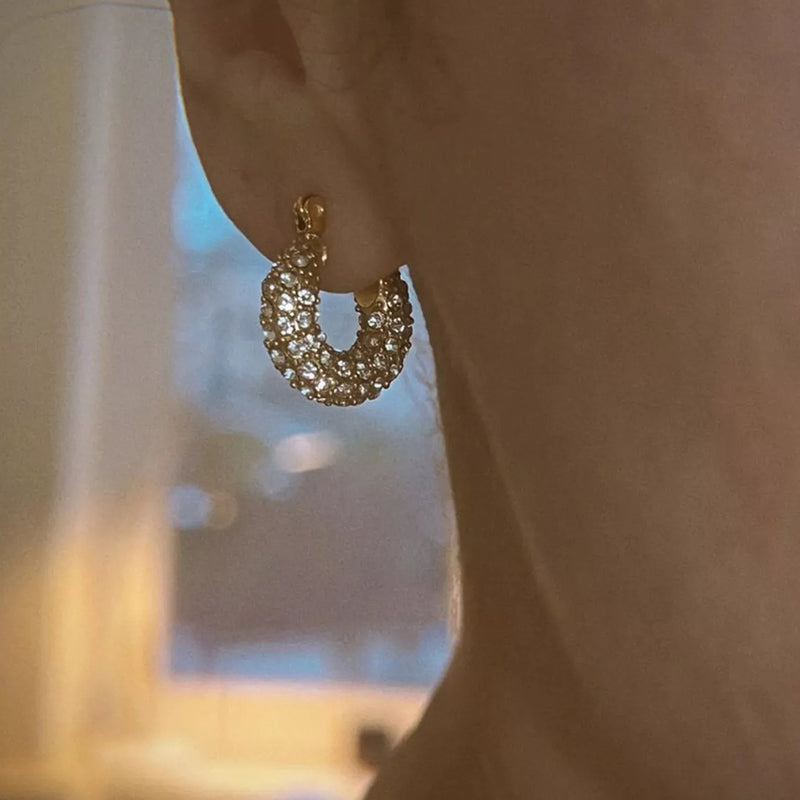 Little Fatty Diamond Hoop Earrings