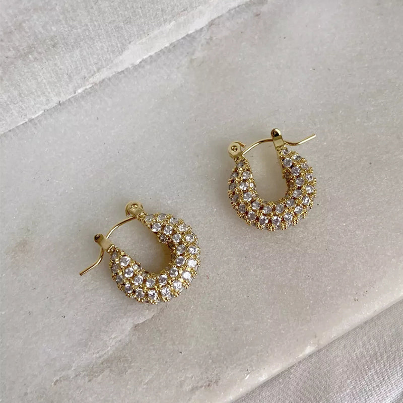 Little Fatty Diamond Hoop Earrings