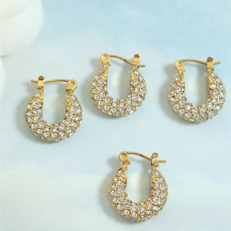 Little Fatty Diamond Hoop Earrings