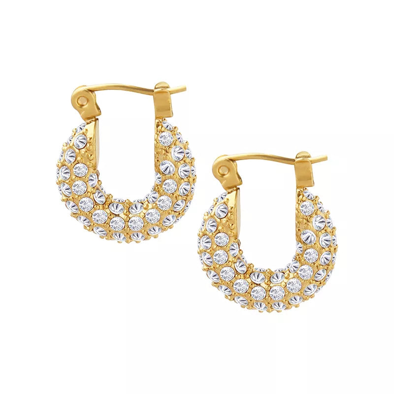 Little Fatty Diamond Hoop Earrings