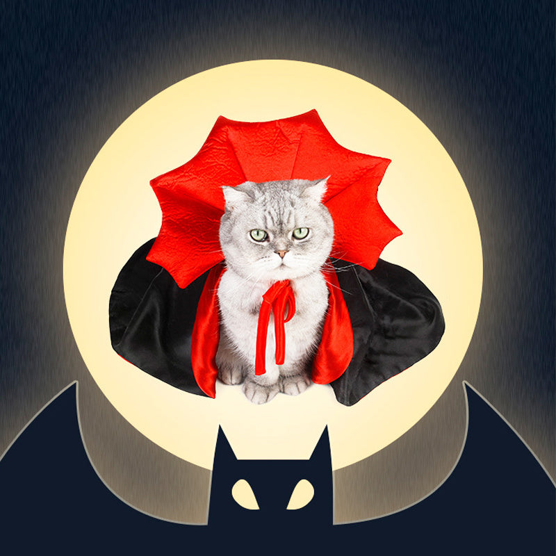 Halloween Dracula Pet Costume