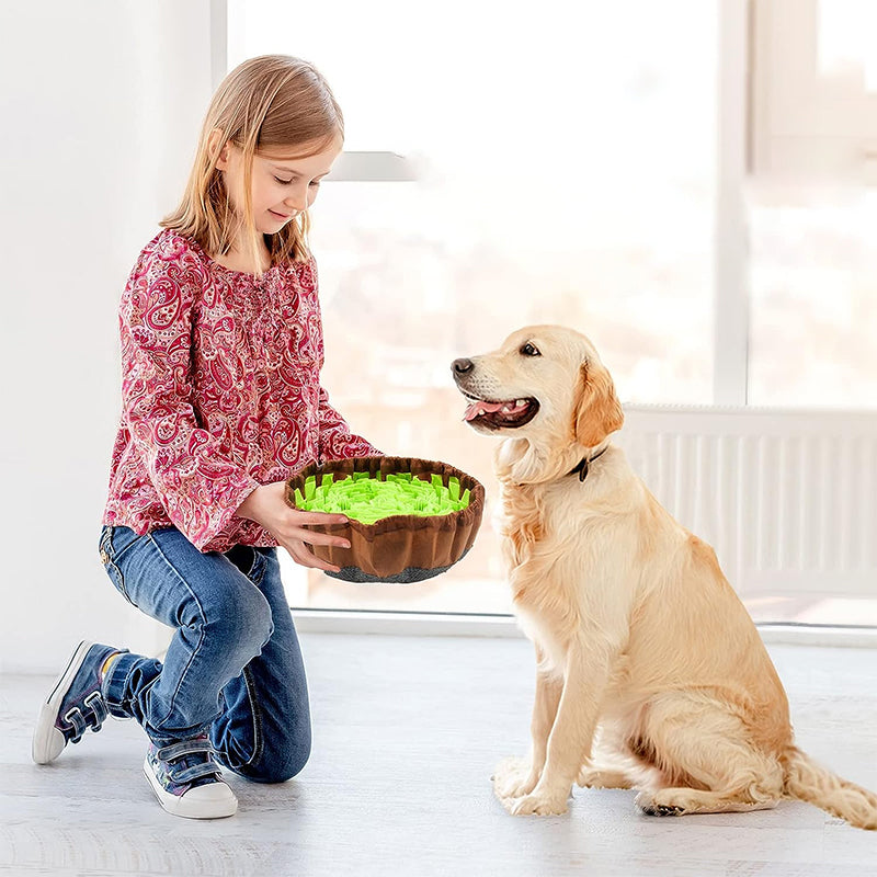 Pet Feeding Training Mat