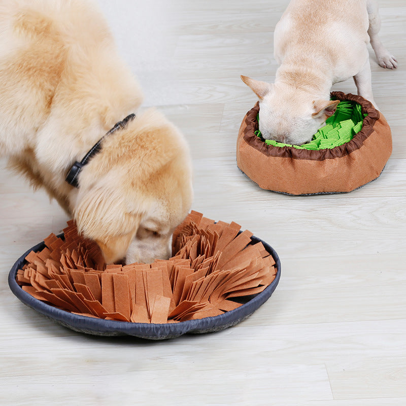 Pet Feeding Training Mat