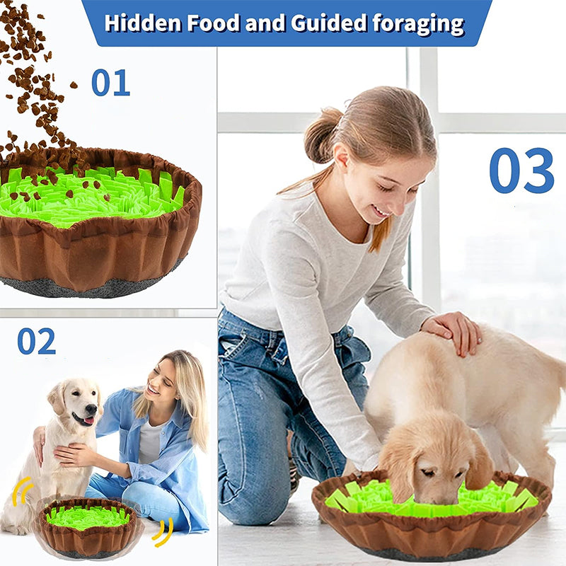 Pet Feeding Training Mat