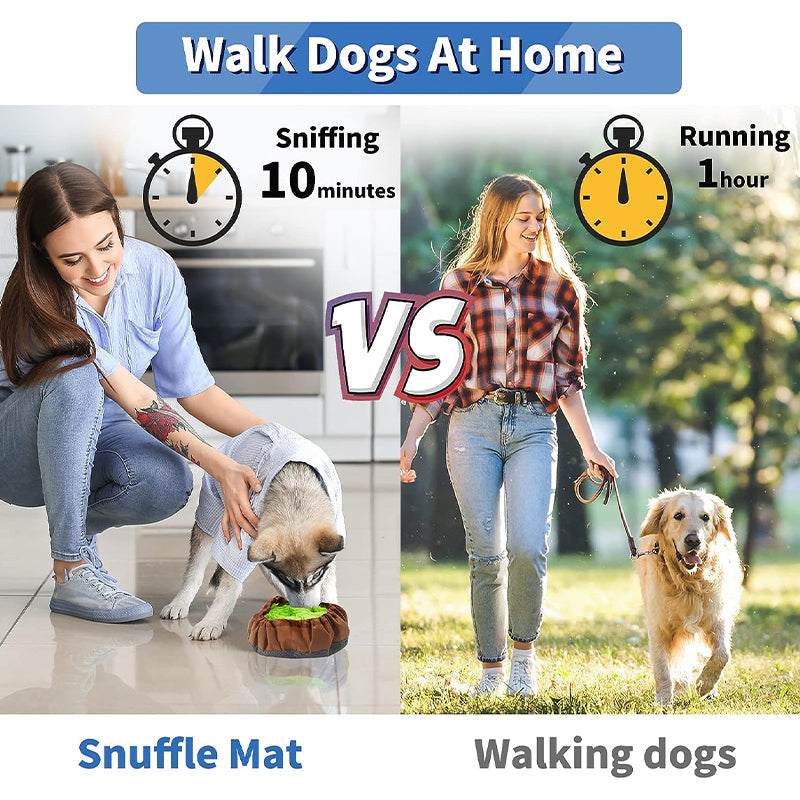 Pet Feeding Training Mat